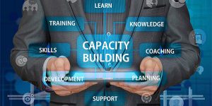 pengertian Capacity building