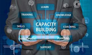 pengertian Capacity building