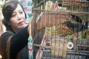 bisnis burung