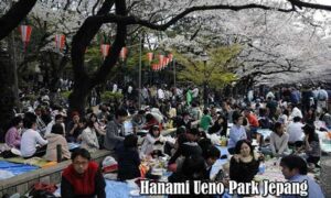 Tradisi Hanami Di Ueno Park Jepang