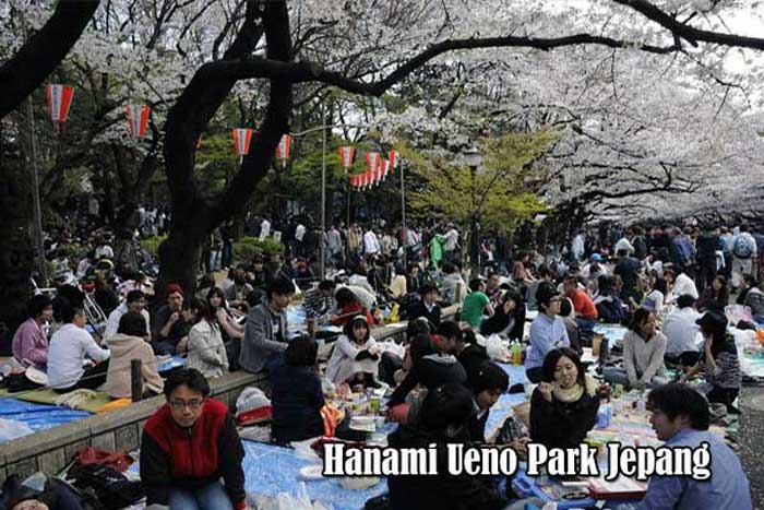 Tradisi Hanami Di Ueno Park Jepang