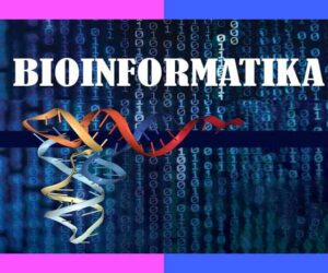 Bioinformatika
