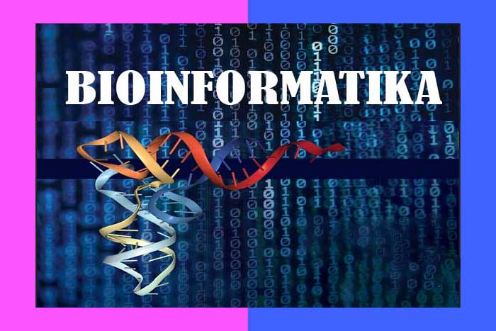 Bioinformatika