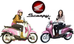 honda scoopy