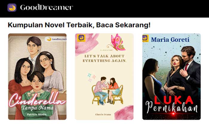 novel online di website