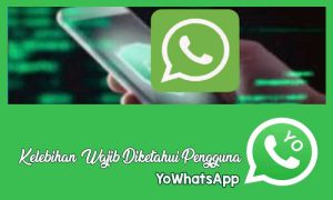 aplikasi yowhatsapp knpi