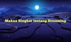 Makna Singkat tentang Streaming