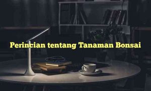 Perincian tentang Tanaman Bonsai