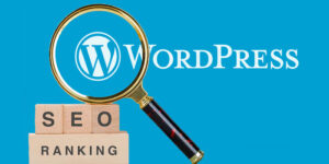 seo untuk platform wordpress