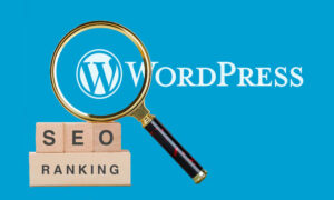 seo untuk platform wordpress